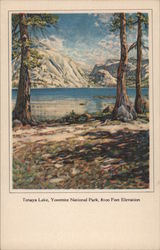 Tenaya Lake, 8100 Feet Elevation Yosemite, CA Postcard Postcard Postcard