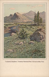 Tuolumne Meadows Yosemite National Park, CA Postcard Postcard Postcard