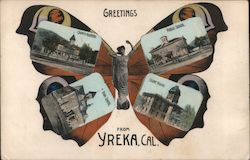 Greetings from Yreka, Butterfly Multi-view Postcard