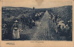 Stock #769058 Thumbnail