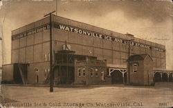 Watsonville Ice and Cold Storage Co. Postcard