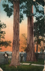 Greetings from Delegates Postcard