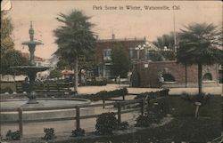 Park Scene in Winter Watsonville, CA Postcard Postcard Postcard