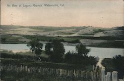 An Arm of Laguna Grande Postcard