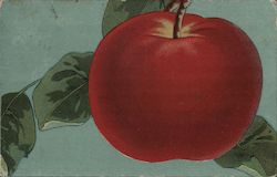 The Apple Annual Festival Postcard