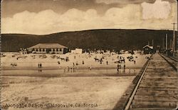 Along the Beach Watsonville, CA Postcard Postcard Postcard