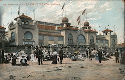Natatorium, Santa Cruz Beach Postcard