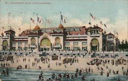 Natatorium - Santa Cruz Postcard