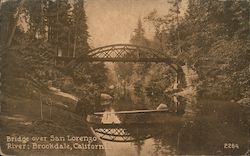 Bridge Over San Lorenzo River Postcard