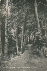 Walk on Clear Creek to Brookdale Hotel Postcard