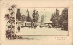 Train Depot at Brookdale Postcard