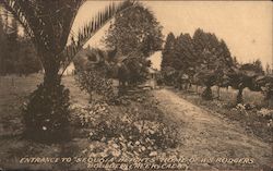 Entrace to Sequoia Heights Home of W.S. Rodgers Boulder Creek, CA Postcard Postcard Postcard