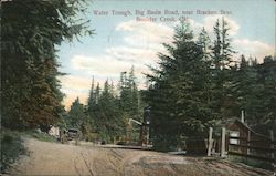 Water Trough, Big Basin Road, Near Bracken Brae Postcard