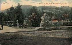 A Scene in the Park Boulder Creek, CA Postcard Postcard Postcard