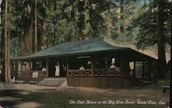 The Club House in the Big Tree Grove Postcard
