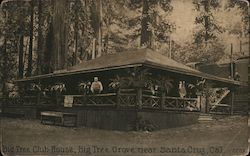 Big Tree Club House, Big Tree Grove Postcard