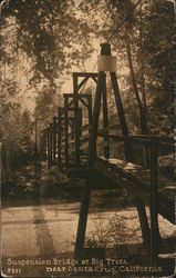 Suspension Bridge at Big Trees Santa Cruz, CA Postcard Postcard Postcard