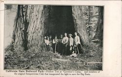 California State Redwood Park - Hollow Tree at "Governor's Camp" and Members of the Original Sempervirens Club Postcard
