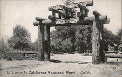 Entrance to California Redwood Park Postcard