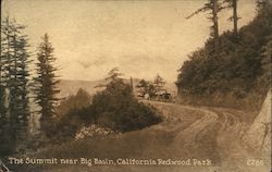 The Summit near Big Basin, California Redwood Park Postcard