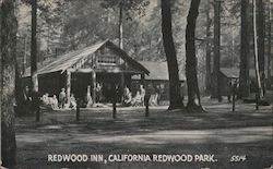Redwood Inn, California Redwood Park Postcard