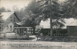 Cottage and Pergola, Hotel Dickinson Postcard