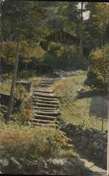 Steps Leading to the Log Cabin Monte Rio, CA Postcard Postcard Postcard