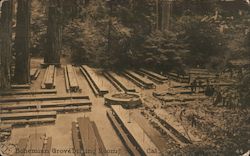 Bohemian Grove Dining Room Postcard