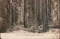 N.W.P.R.R. Entering Bohemian Grove Postcard