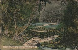 Lily Pond at Camp Vacation Postcard