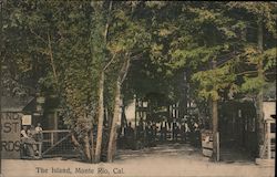 The Island Postcard