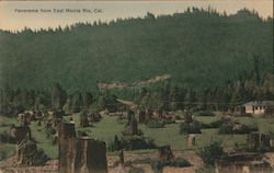 Panorama From East Postcard