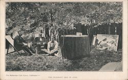 The Pleasant Isle of Aves. - Bohemian Club Grove Postcard
