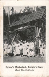 Nature's Wonderland, Ludwig's Grove Postcard