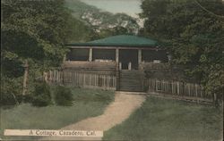 A Cottage Cazadero, CA Postcard Postcard Postcard