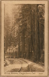 Elim Grove Postcard