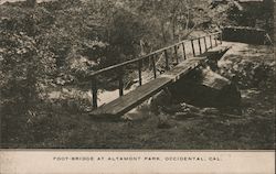 Foot Bridge at Altamont Park Postcard