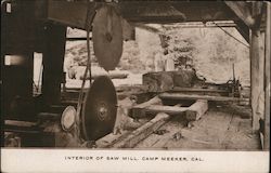 Interior of Saw Mill Postcard