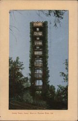 Living Tower, Russian River Postcard