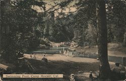 Swimming Pool Camp Meeker, CA Postcard Postcard Postcard