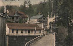 Camp Meeker Postcard