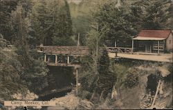 Camp Meeker, Cal. Postcard