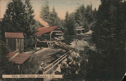 Saw Mill Postcard