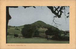 Fitch Mountain, Russian River Healdsburg, CA Postcard Postcard Postcard