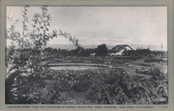 Contains more than 700 varieties of roses, Municipal Rose Gardens San Jose California