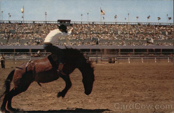 San Jose's Fireman Rodeo California