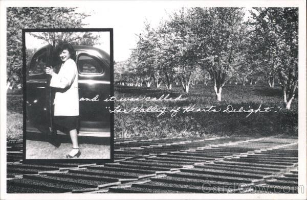 Valley of the Hearts Deligh San Jose California