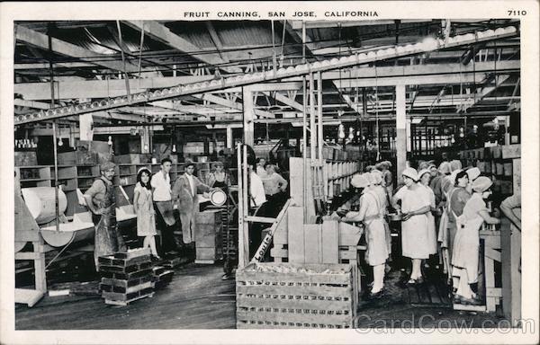 Fruit canning, San Jose, California