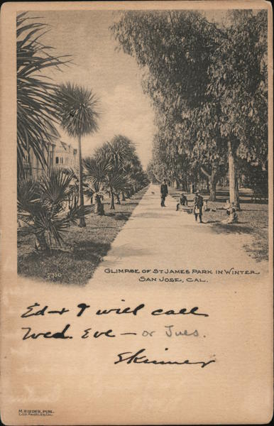 Glimpse of St. James Park in winter. San Jose, Cal. California