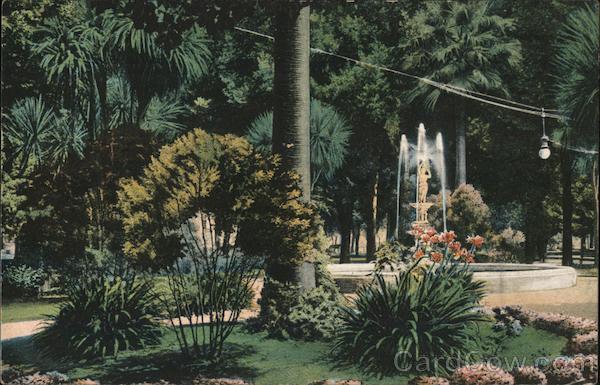 Winter Scene San Jose California